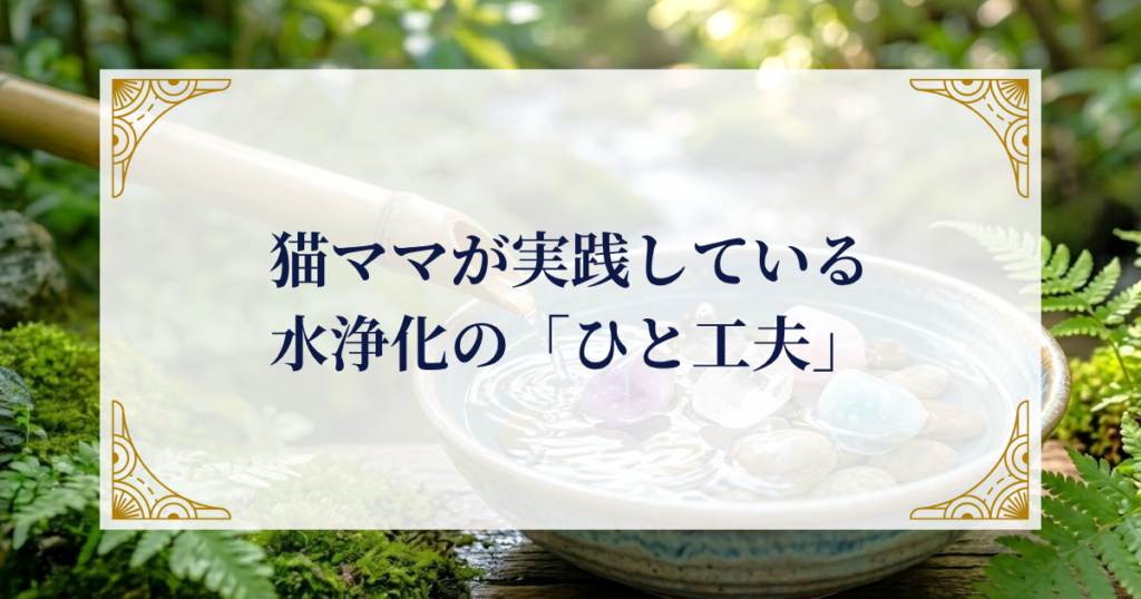 猫ママが実践している水浄化の「ひと工夫」 ミステリーキャットカフェ