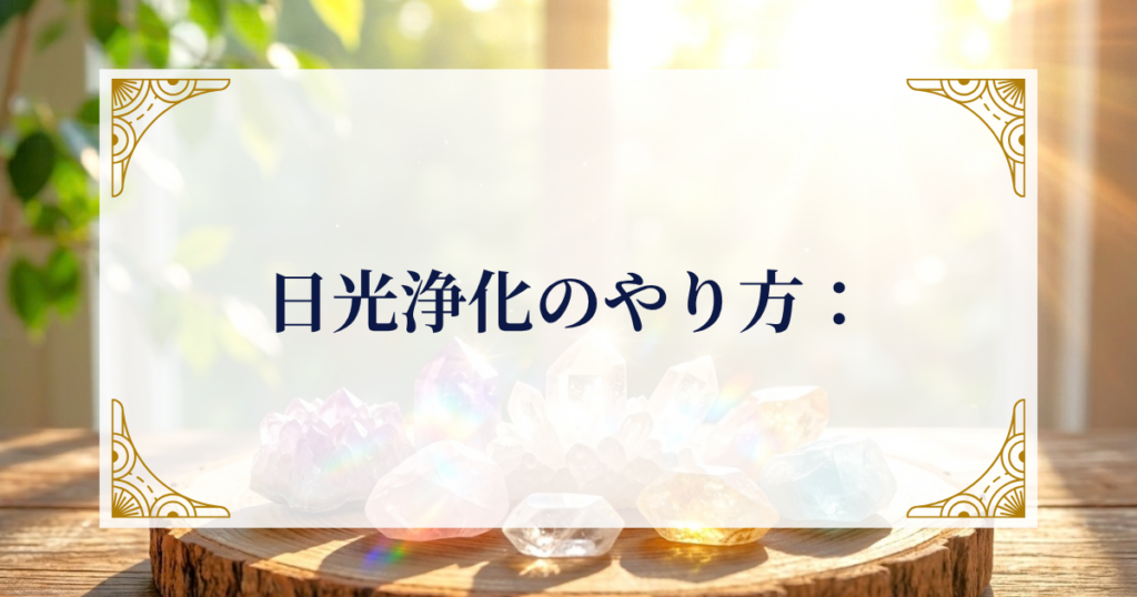 日光浄化のやり方 ミステリーキャットカフェ