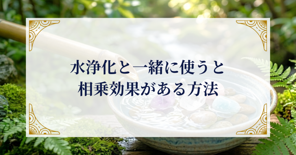 水浄化と一緒に使うと相乗効果がある方法 ミステリーキャットカフェ
