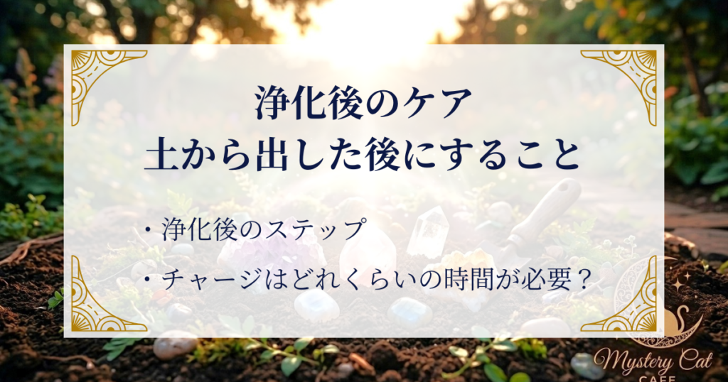 浄化後のケア｜土から出した後にすること ミステリーキャットカフェ