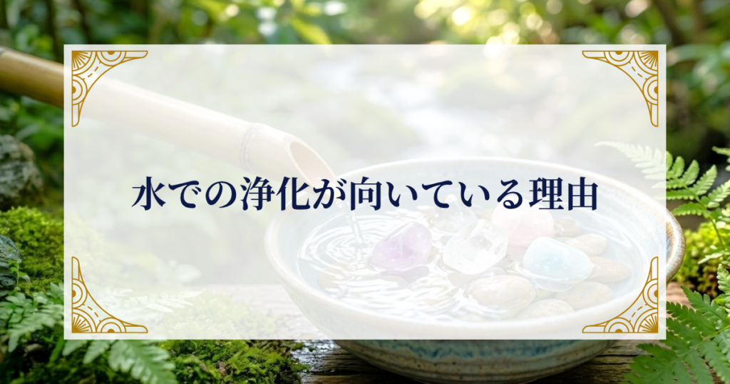 水での浄化が向いている理由 ミステリーキャットカフェ