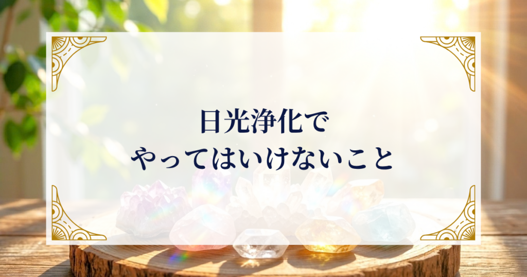 日光浄化でやってはいけないこと ミステリーキャットカフェ