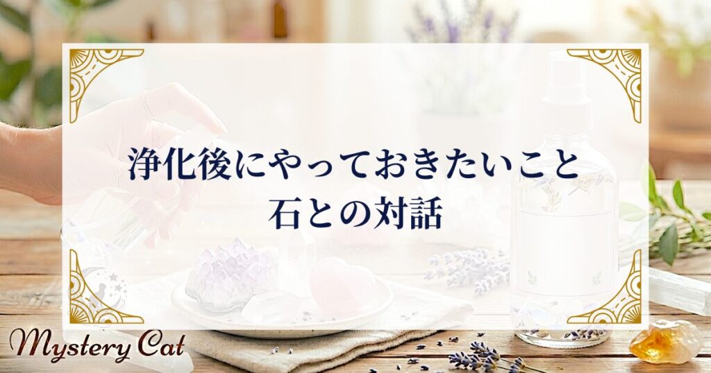浄化後にやっておきたいこと：石との対話 ミステリーキャットカフェ