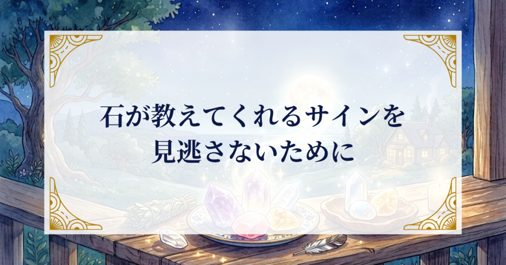 石が教えてくれるサインを見逃さないために ミステリーキャットカフェ