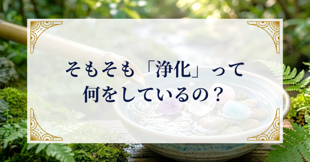 そもそも「浄化」って何をしているの? ミステリーキャットカフェ