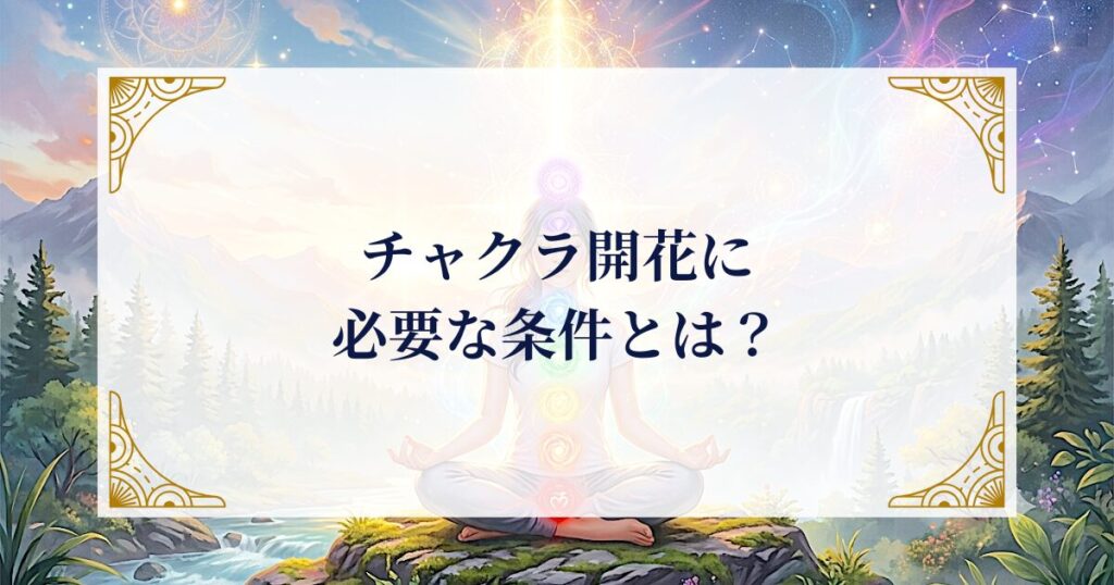 チャクラ開花に必要な条件とは? ミステリーキャットカフェ