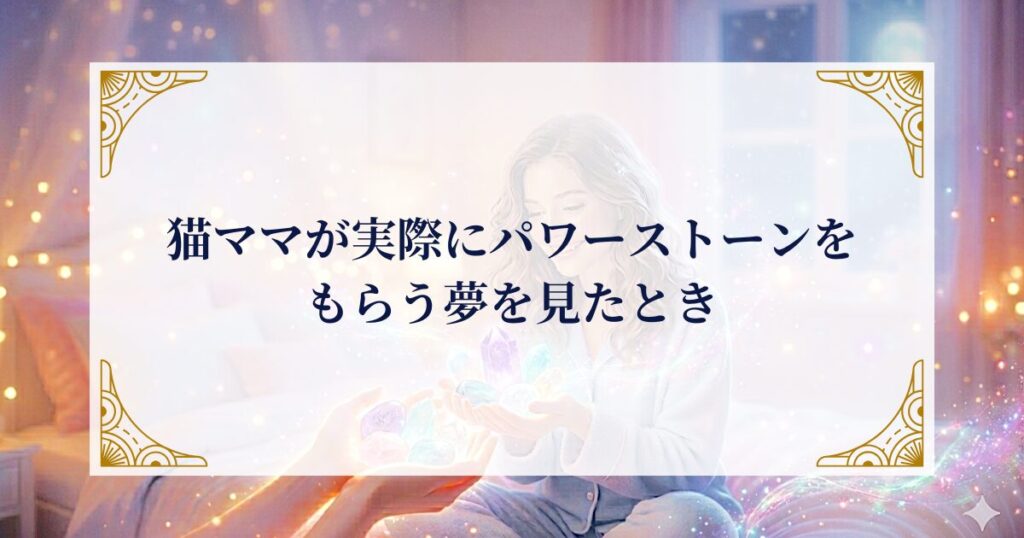 猫ママが実際にパワーストーンをもらう夢を見たとき ミステリーキャットカフェ