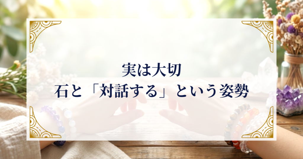 実は大切:石と「対話する」という姿勢 ミステリーキャットカフェ