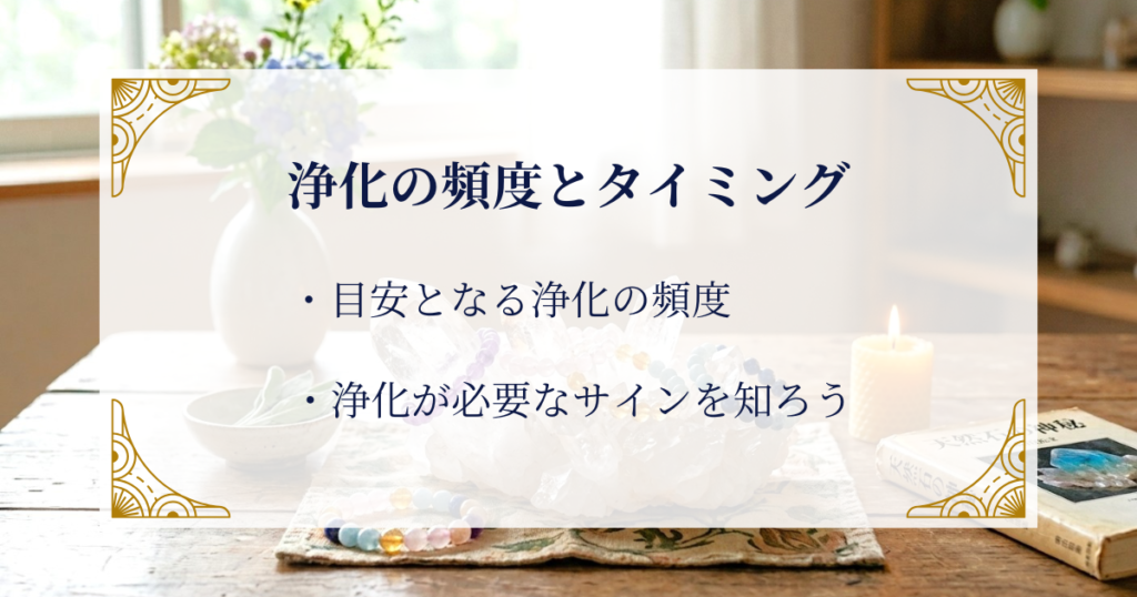 浄化の頻度とタイミング ミステリーキャットカフェ