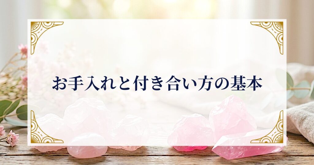 お手入れと付き合い方の基本  ミステリーキャットカフェ