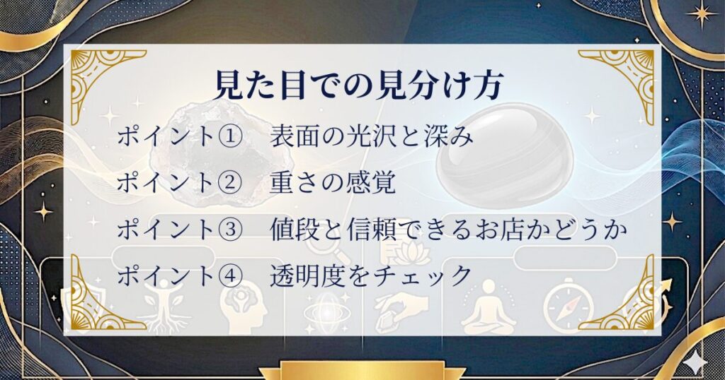 見た目での見分け方：どうやって区別する？ ミステリーキャットカフェ