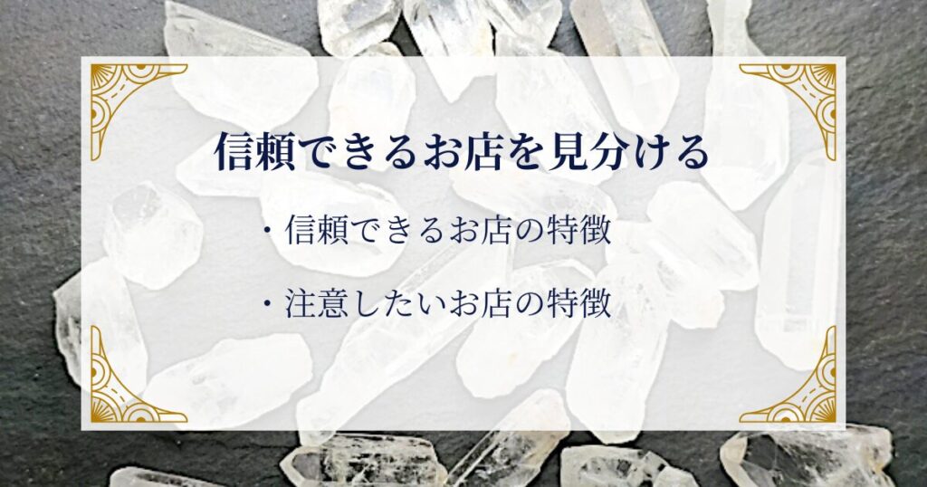 信頼できるお店の見分け方 ミステリーキャットカフェ
