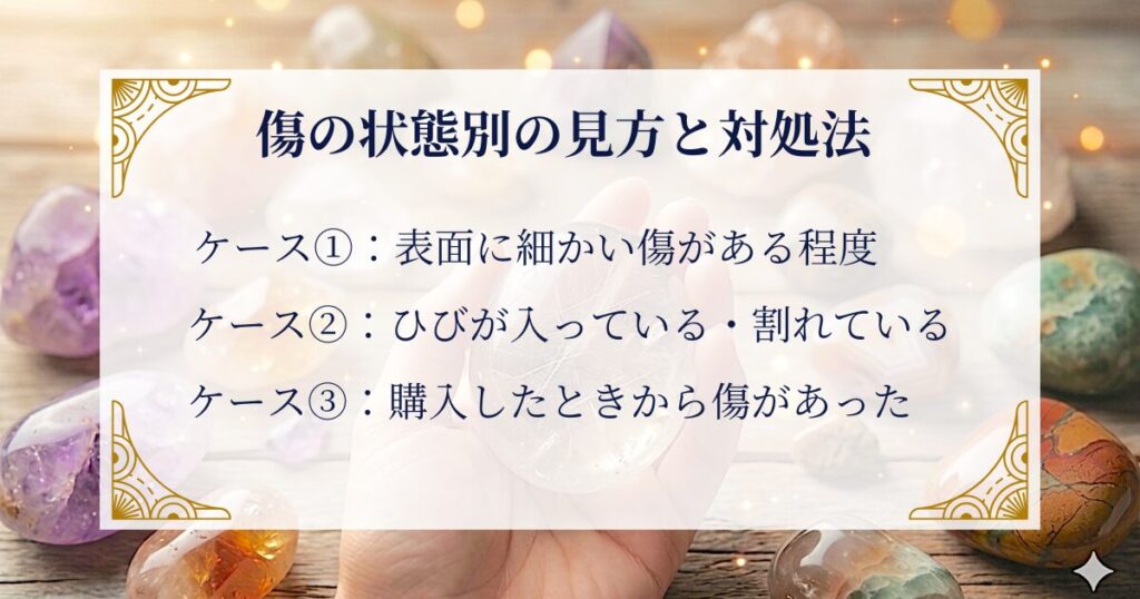 傷の状態別の見方と対処法 ミステリーキャットカフェ