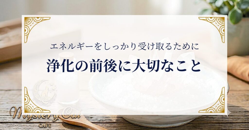 浄化の前後に大切なこと：エネルギーをしっかり受け取るために ミステリーキャットカフェ