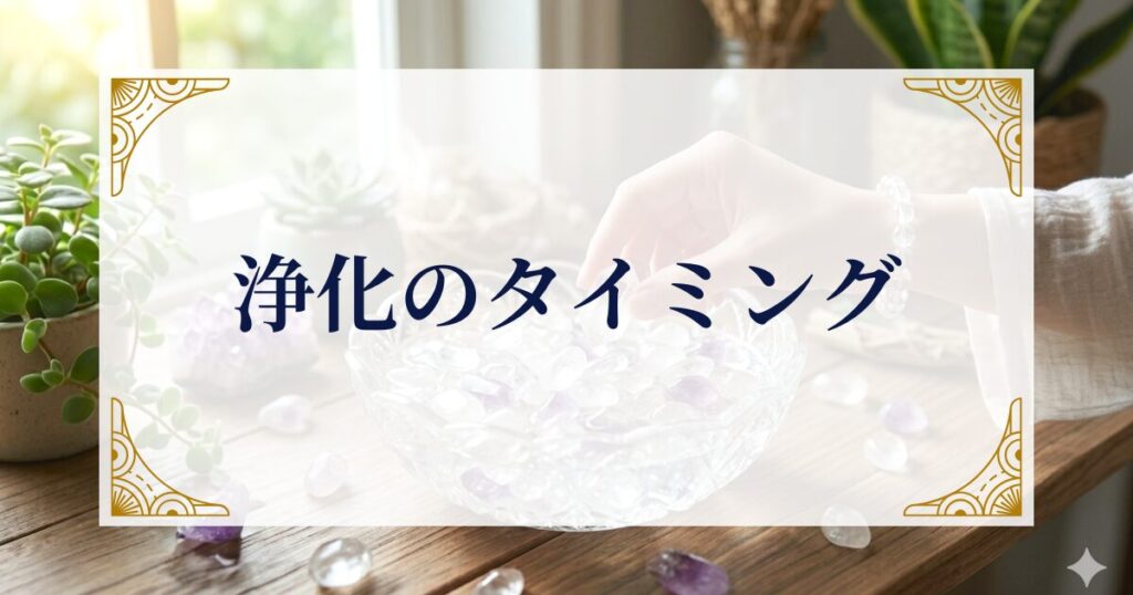 浄化のタイミング──いつやればいいの？ ミステリーキャットカフェ