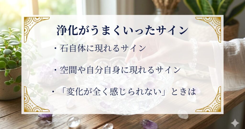 浄化がうまくいったサイン──変化はこうして現れます ミステリーキャットカフェ