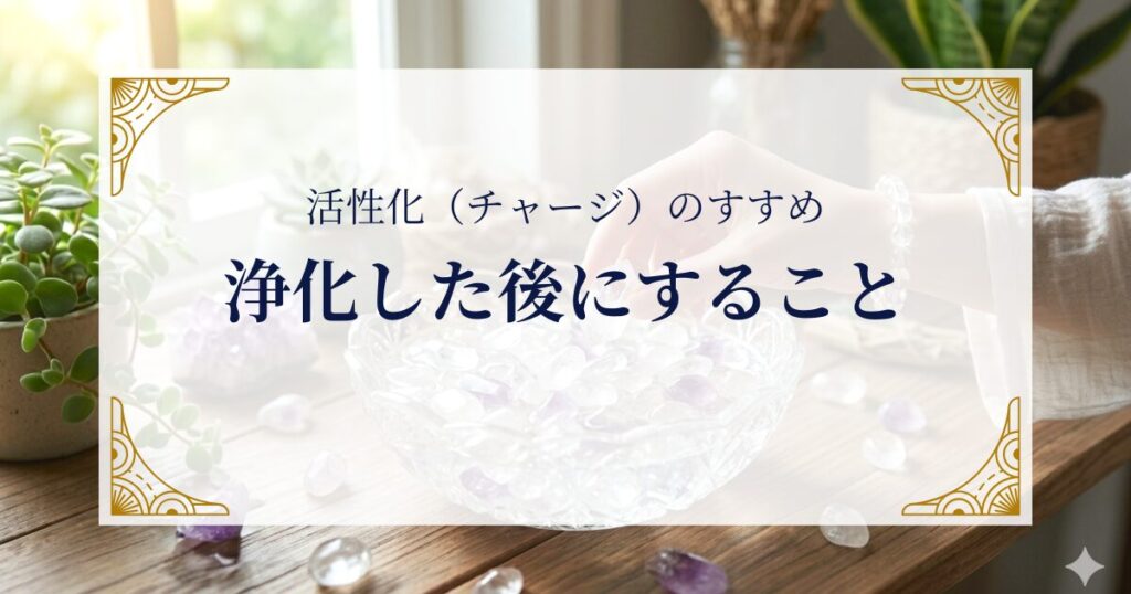 浄化した後にすること──活性化（チャージ）のすすめ ミステリーキャットカフェ