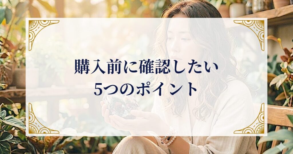 購入前に確認したい5つのポイント ミステリーキャットカフェ