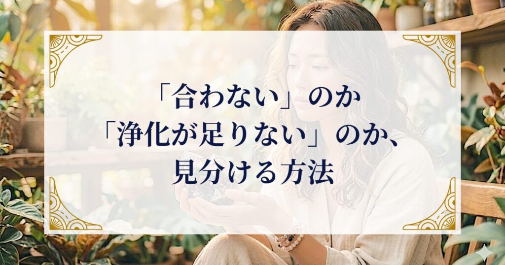 「合わない」のか「浄化が足りない」のか、見分ける方法 ミステリーキャットカフェ