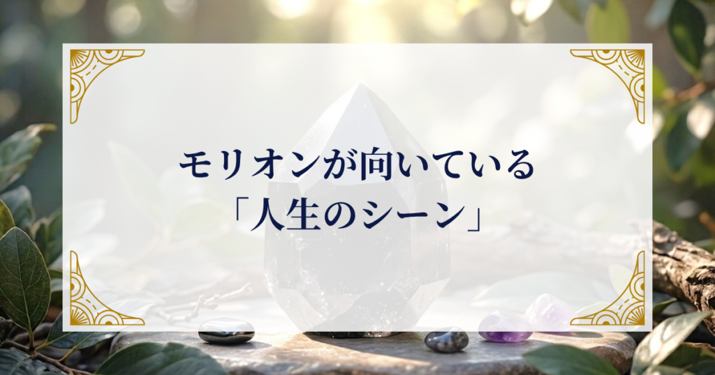 モリオンが向いている「人生のシーン」 ミステリーキャットカフェ