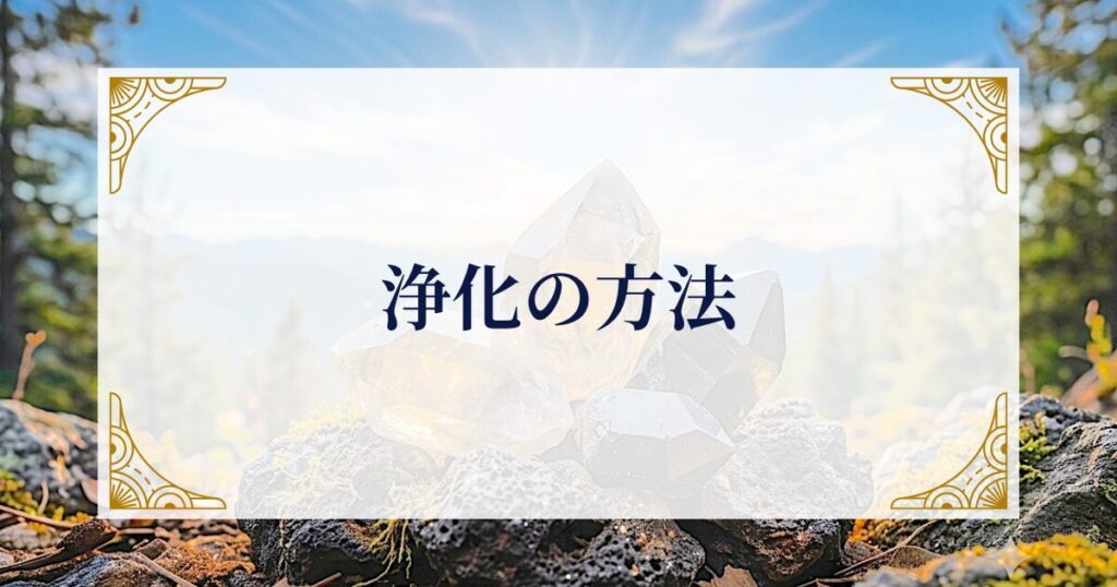 浄化の方法 ミステリーキャットカフェ