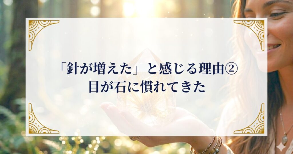 「針が増えた」と感じる理由②　目が石に慣れてきた ミステリーキャットカフェ