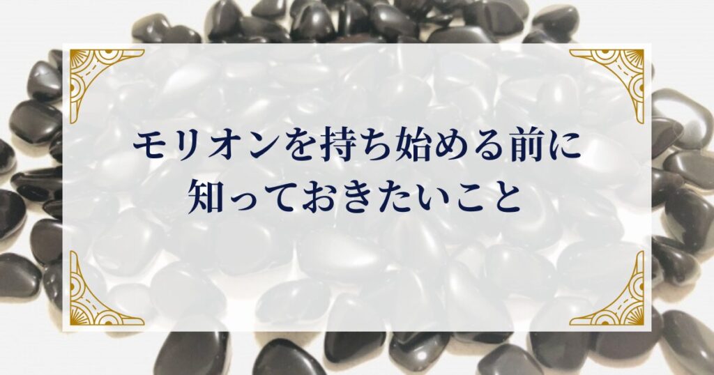 モリオンを持ち始める前に知っておきたいこと ミステリーキャットカフェ