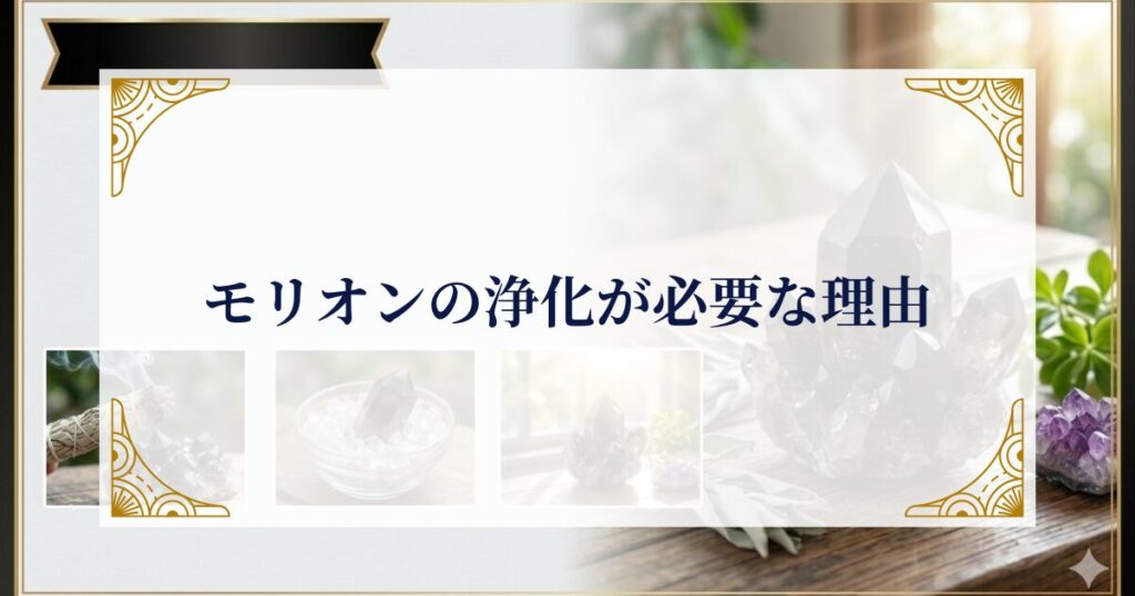 モリオンの浄化が必要な理由 ミステリーキャットカフェ