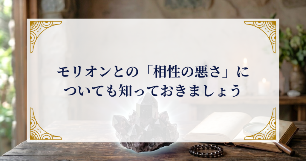 モリオンとの「相性の悪さ」についても知っておきましょう ミステリーキャットカフェ