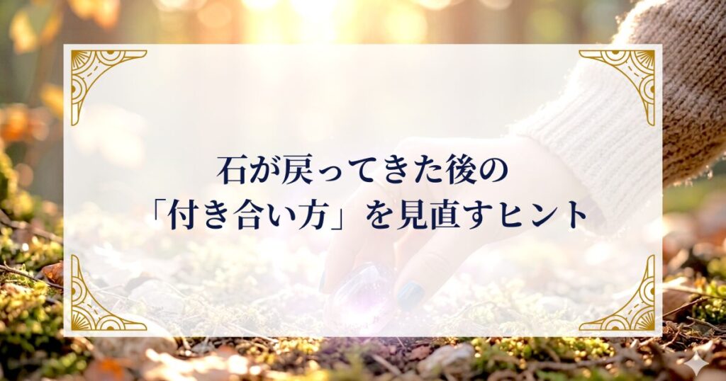 石が戻ってきた後の「付き合い方」を見直すヒント ミステリーキャットカフェ