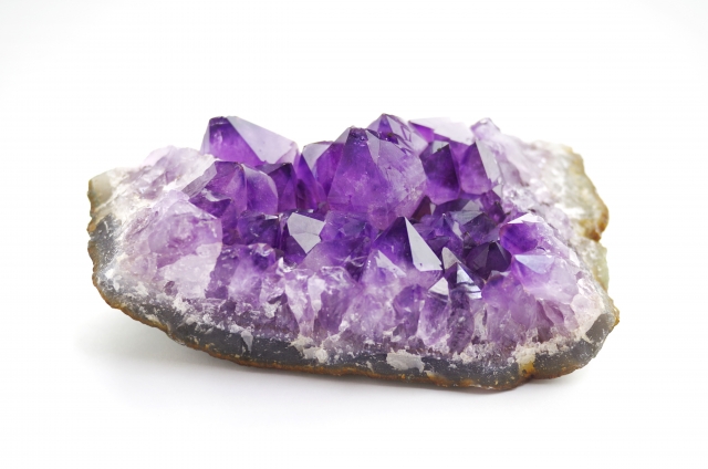 アメジスト ミステリーキャットカフェ