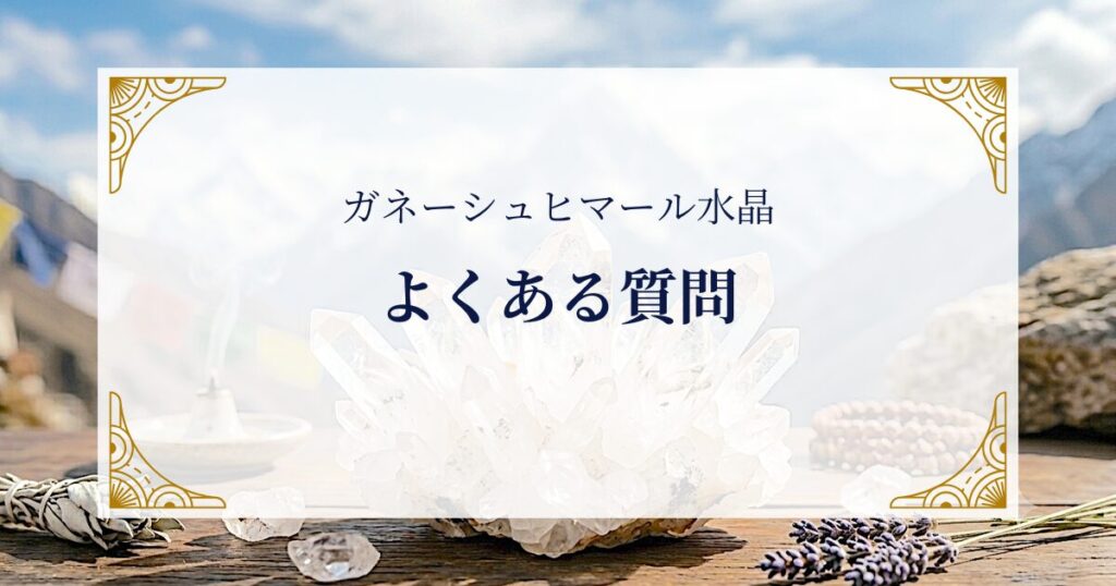 FAQ ミステリーキャットカフェ