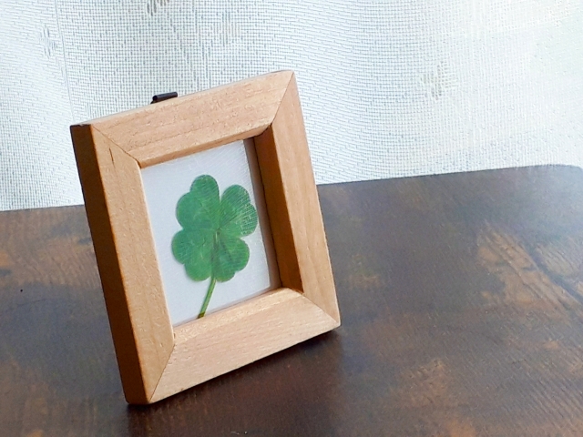 健康運 ミステリーキャットカフェ