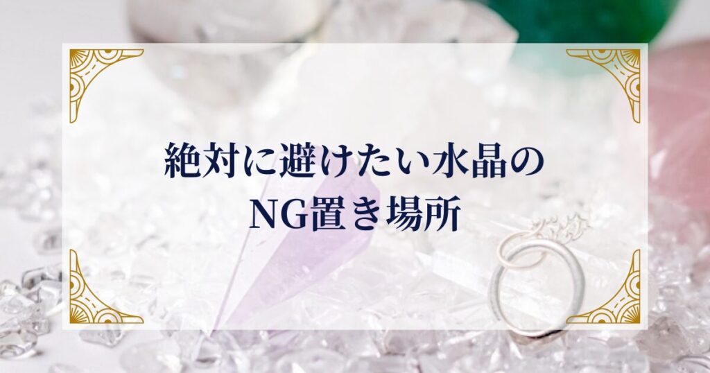 絶対に避けたいNG置き場所 ミステリーキャットカフェ