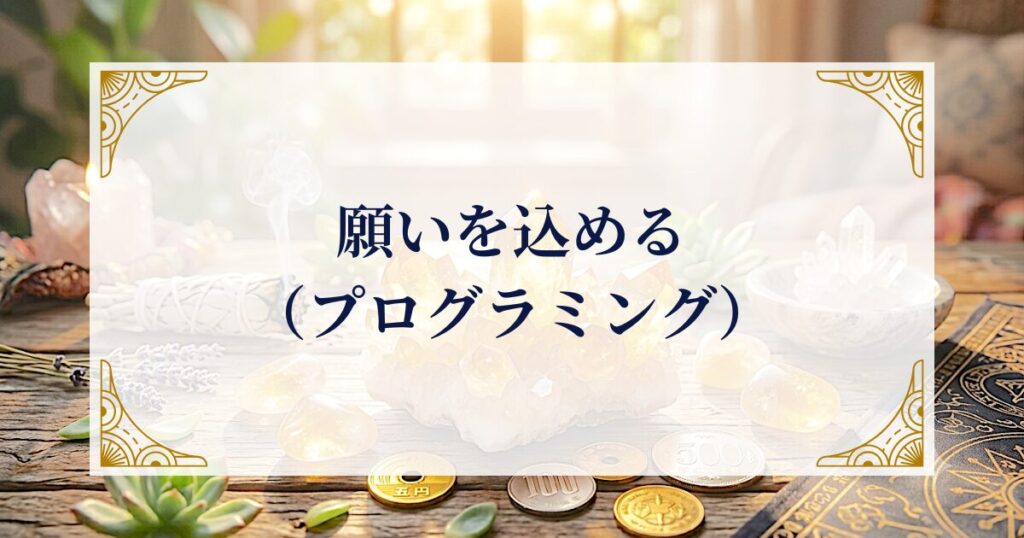 願いを込める（プログラミング） ミステリーキャットカフェ