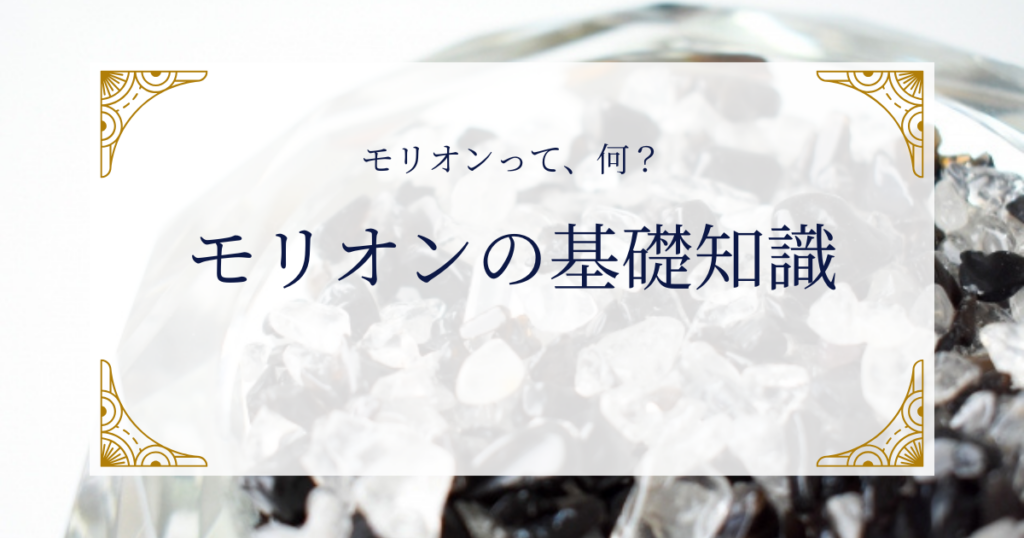 モリオンって、何？モリオンの基礎知識 ミステリーキャットカフェ