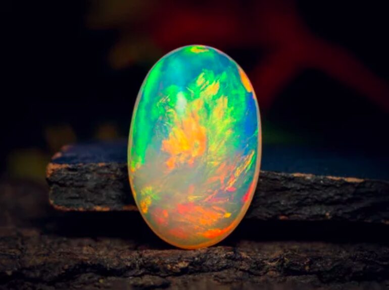 オパール ミステリーキャットカフェ