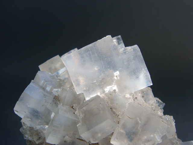 ハライト ミステリーキャットカフェ