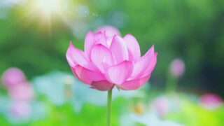 スピリチュアル