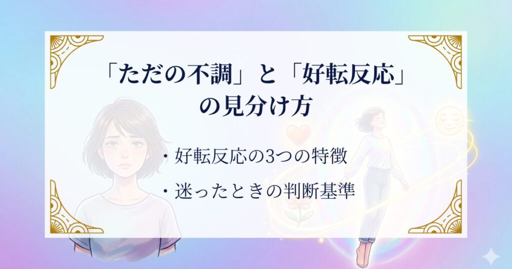 「ただの不調」と「好転反応」の見分け方 ミステリーキャットカフェ